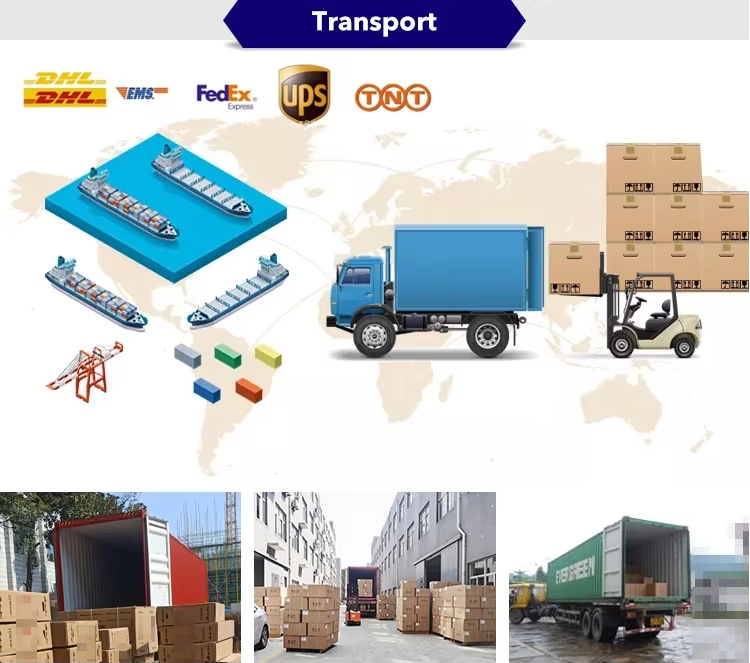 Shipping of led downlight