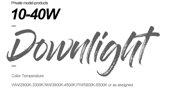 10W round COB downlight