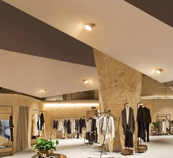 Application of ceiling downlight