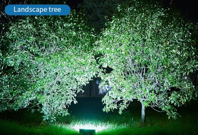 Application of outdoor led flood light