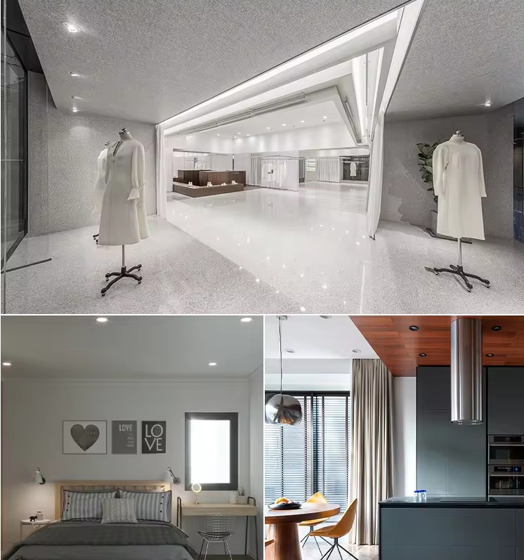 Application of dimmable led recessed lights