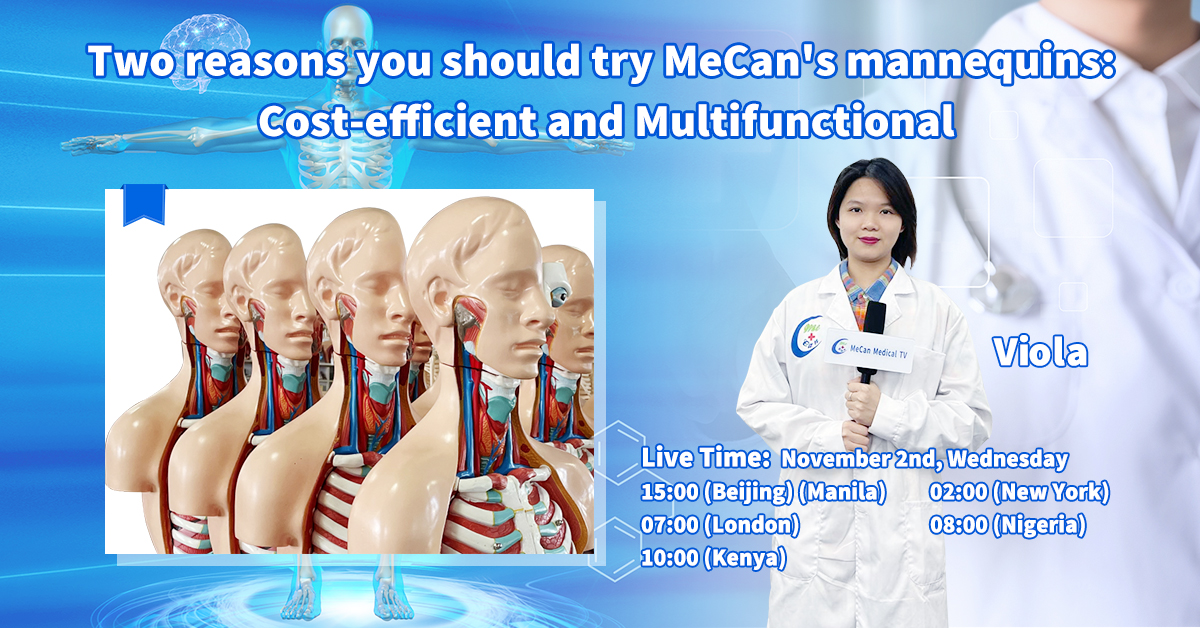 Cost-efficient and Multifunctional mannequins | MeCan Medical