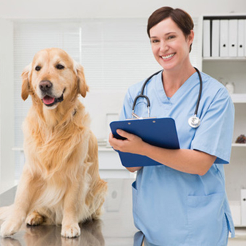 Journal of Clinical Veterinary Medicine