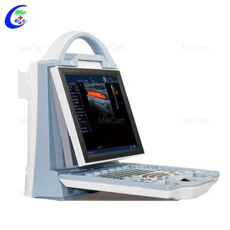 Advantages of Veterinary Ultrasound in Pet Examination 3