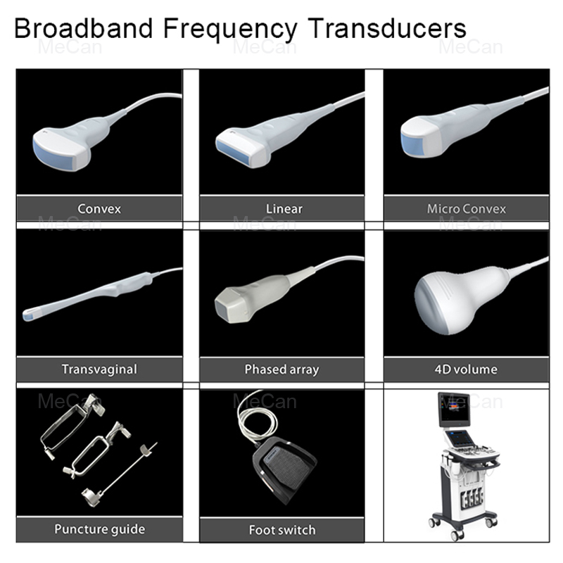 Trolley Ecografo 3D 4D Ultrasound Machine with LED Monitor 9