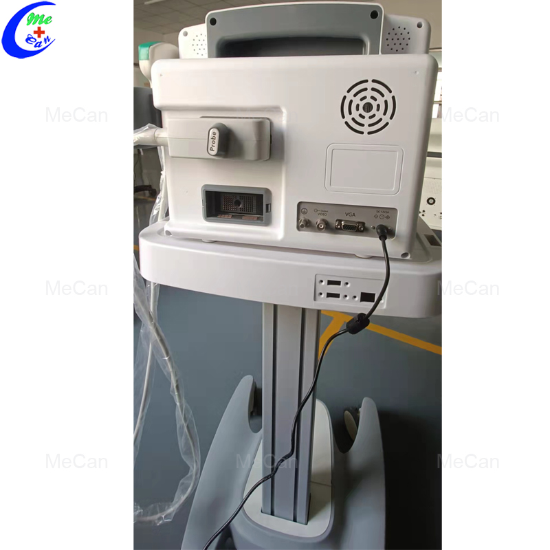 High Quality Full Digital Portable B/W Ultrasound Machine 10