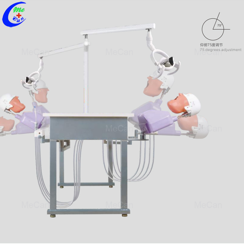 Teaching Manual Dental Training Simulator with Good Price 8