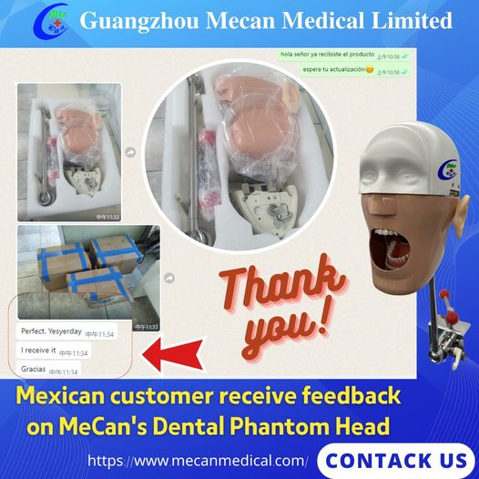 Good Comments from Mexican Customers on Dental Phantom Head | MeCan  Medical