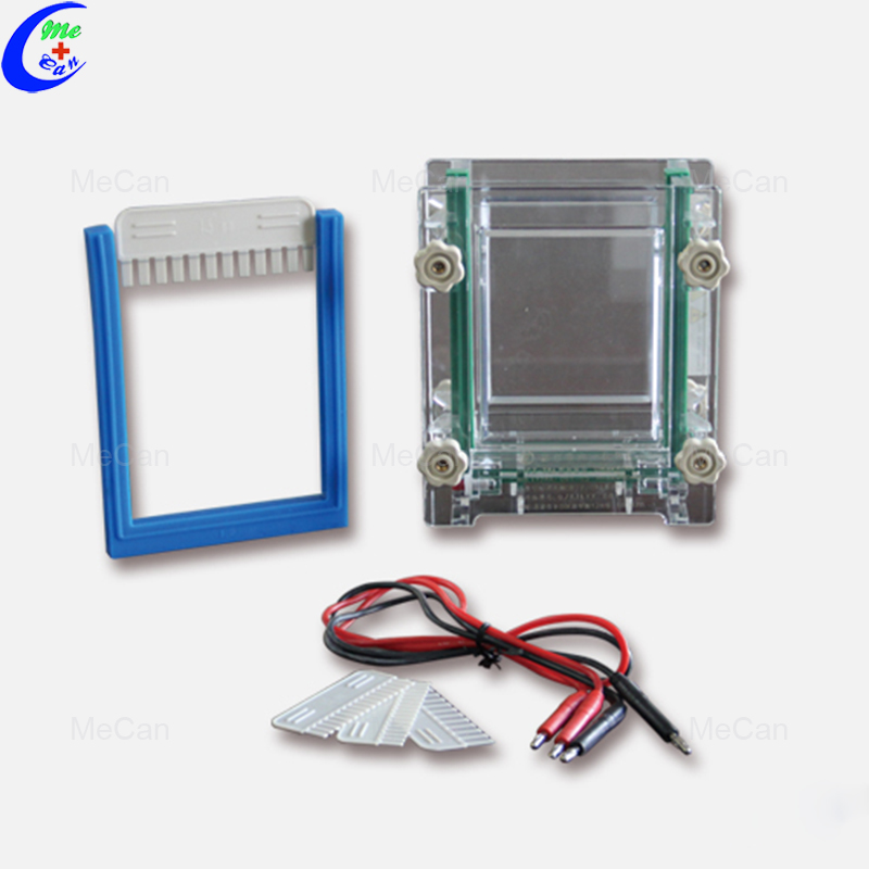 1350 ml Buffer Volume Electrophoresis Cell 2