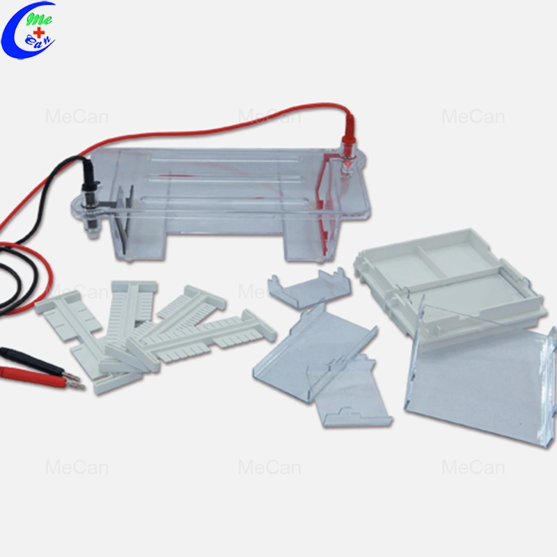 650 ml Buffer Volume Electrophoresis Cell : 2