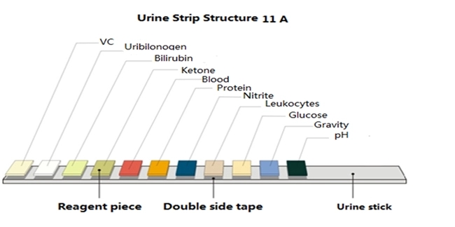 Urine Analyzer Urine Meter Urine Test Machine 7