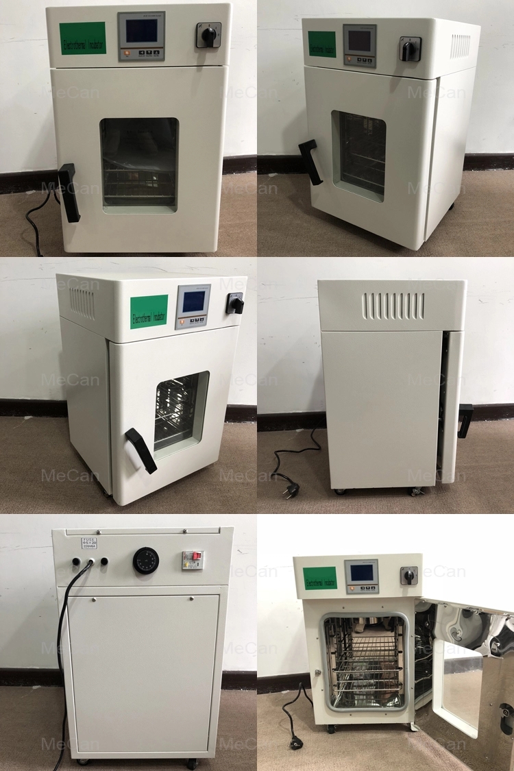 Biological Electric Thermostat Laboratory Incubator Biological Electric Thermostat Laboratory Incubator