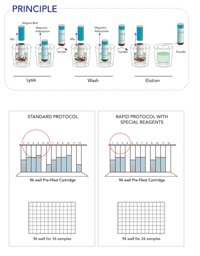 Nucleic Acid Extractor 3