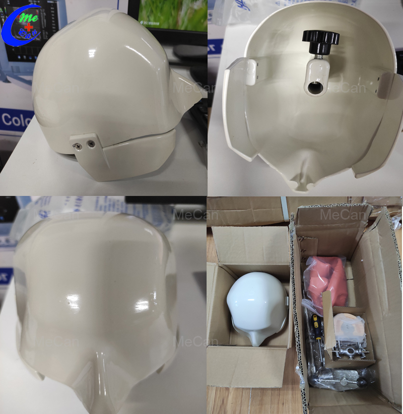 20 Human Skull Models to Zambia 1