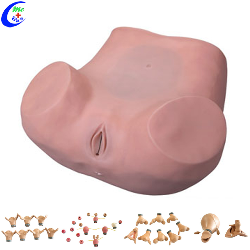 Advanced Gynecological Examination Simulator Advanced Gynecological Examination Simulator