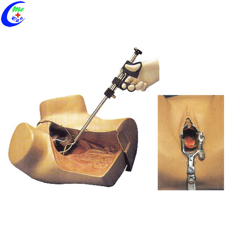 Advanced Gynecological Examination Simulator Advanced Gynecological Examination Simulator