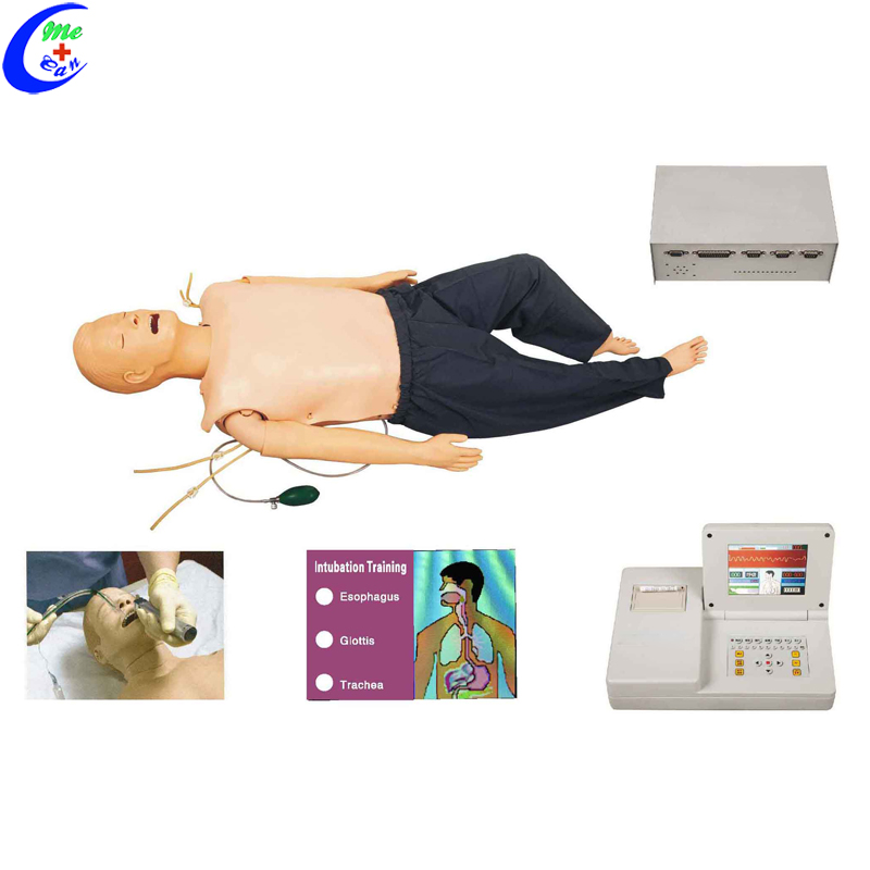 Adult CPR Manikin Adult CPR Manikin