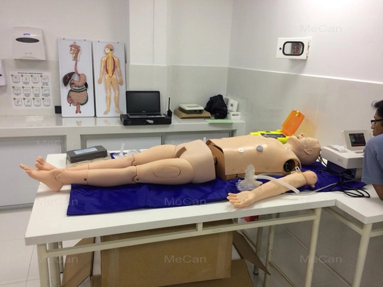Nursing Training Manikin Nursing Training Manikin