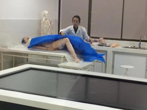 Adult CPR Manikin Adult CPR Manikin