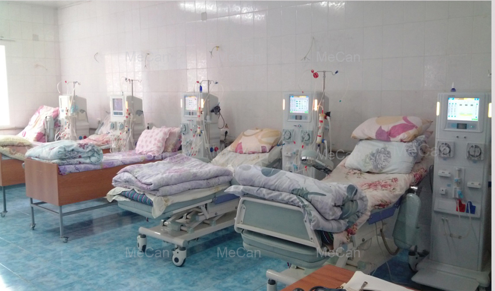 Double Pump Hemodialyse Machine Hemodialysis Machine 15