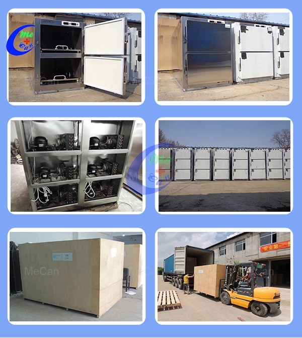 6 Bodies Stainless Steel Mortuary Coolers Cabinets 12