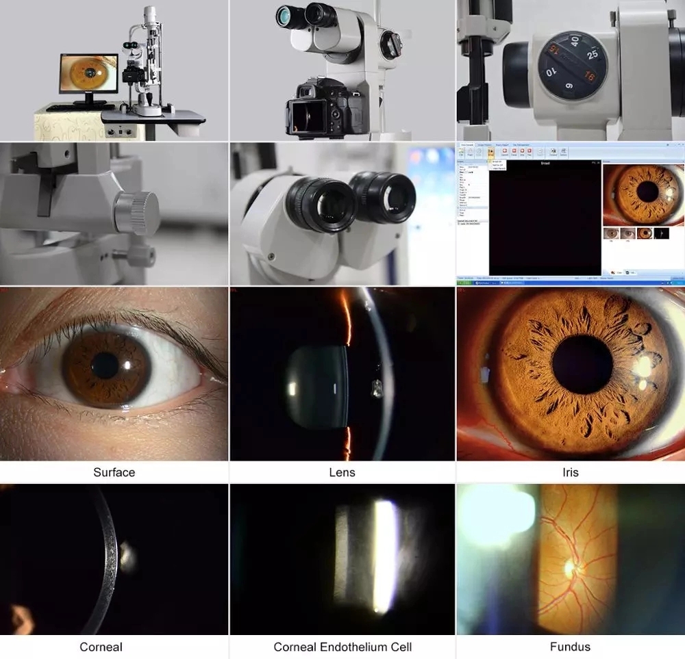 High End Digital Slit Lamp High End Digital Slit Lamp