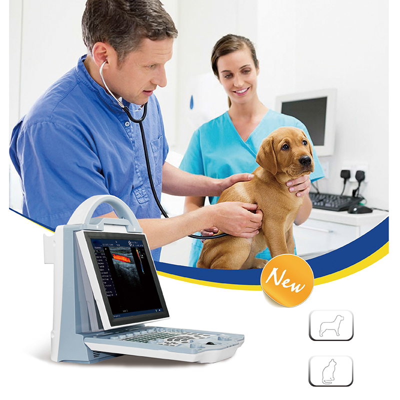 Veterinary Portable Color Doppler Ultrasound Machine 7
