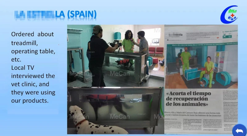 Electric Dog Hydrotherapy Underwater Treadmill | MeCan Medical 12