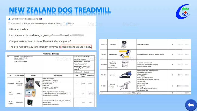 Electric Dog Hydrotherapy Underwater Treadmill | MeCan Medical 14