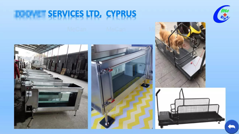 Electric Dog Hydrotherapy Underwater Treadmill | MeCan Medical 15
