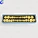 4 Times Permanent Teeth Model, Dental Model Teeth