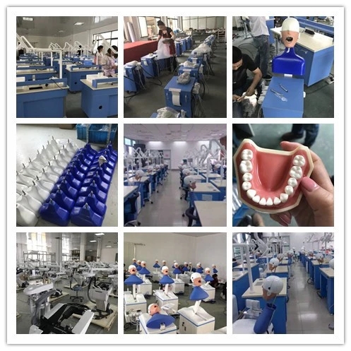 Dental Oral Simulation Teaching System Dental Oral Simulation Teaching System