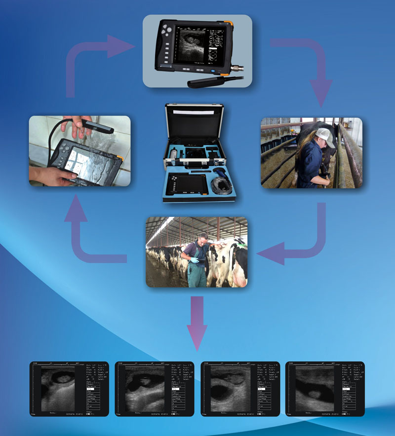 Waterproof Ultrasound Scanner