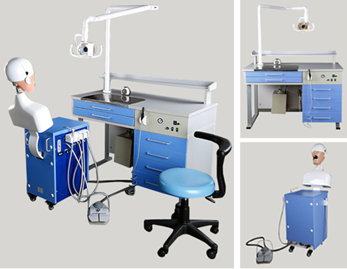 Dental Manikin Head Dental Manikin Head