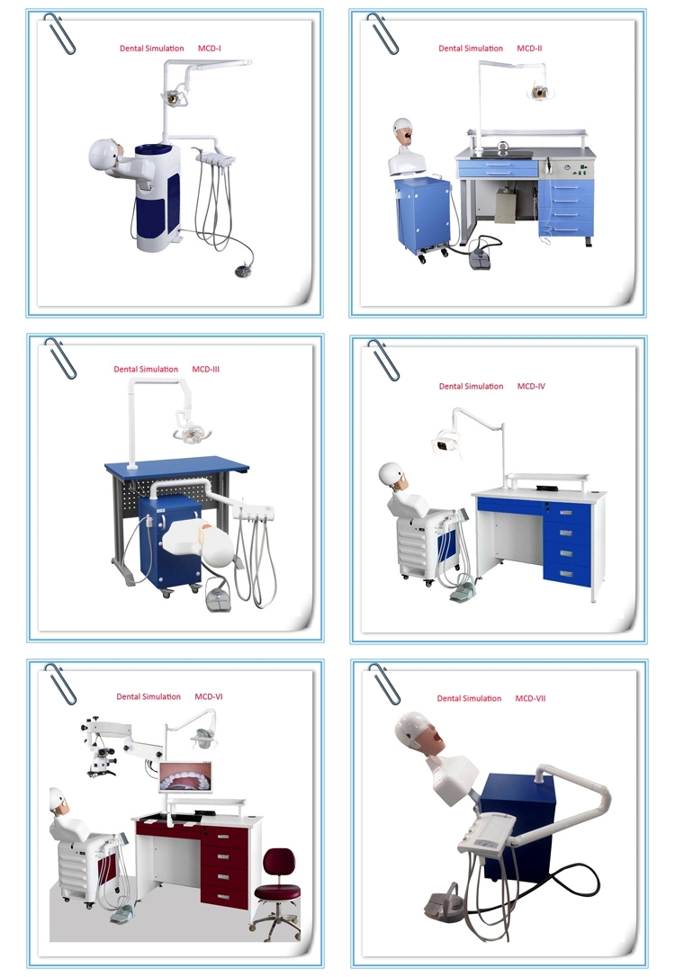 Dental Manikin Head Dental Manikin Head