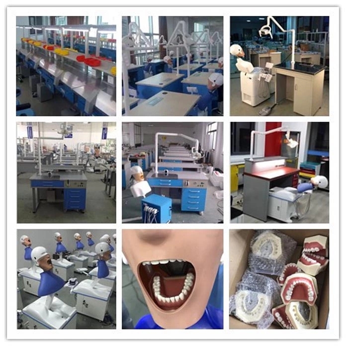 Dental Unit For Training Dental Unit For Training