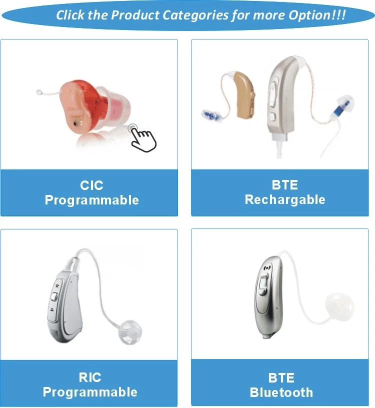 RIC Digital Hearing Aid