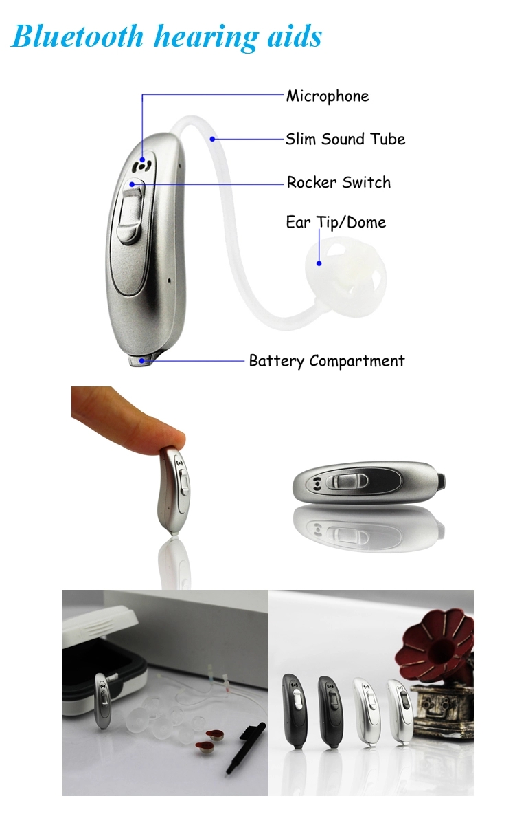 Digital Programmable Hearing Aids Digital Programmable Hearing Aids