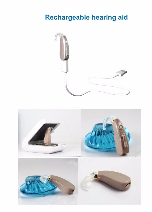 Digital Programmable Hearing Aids Digital Programmable Hearing Aids
