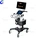 Touch Screen 3D/4D Trolley Color Doppler Ultrasound Machine