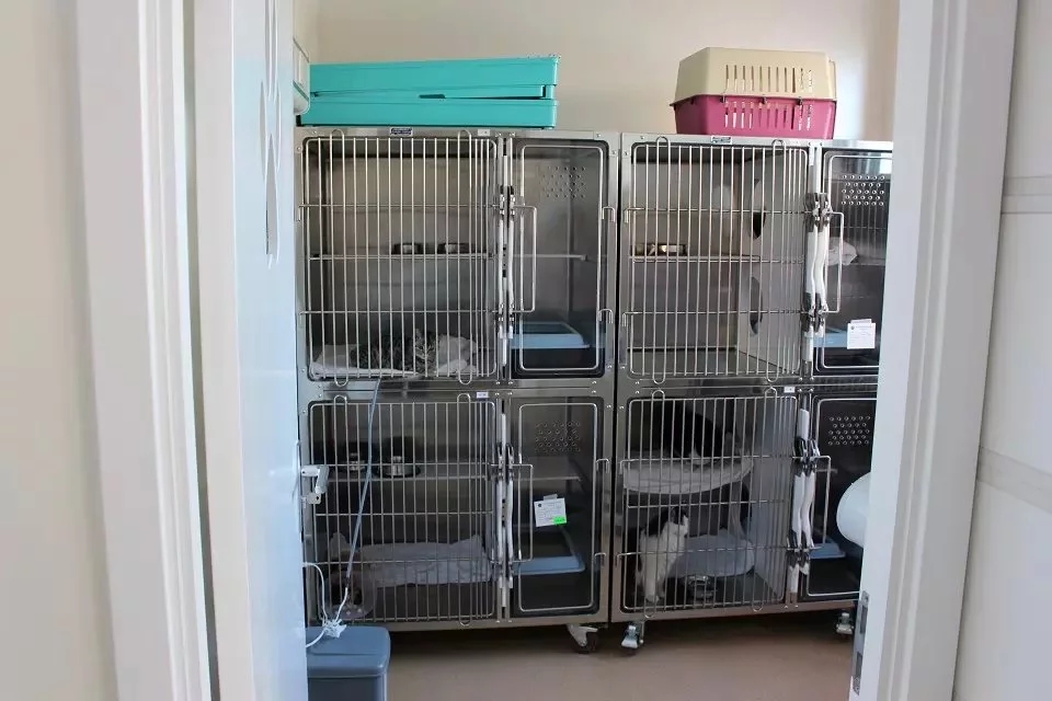 Stainless Steel Animal Cages With Wheels 3