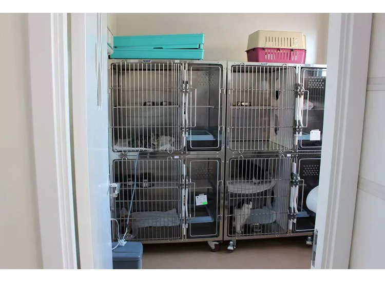 Veterinary Equipment Stainless Steel Veterinary Animal Pet Dog Cage 3