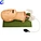 First Aid Mannequin Airway Management Model