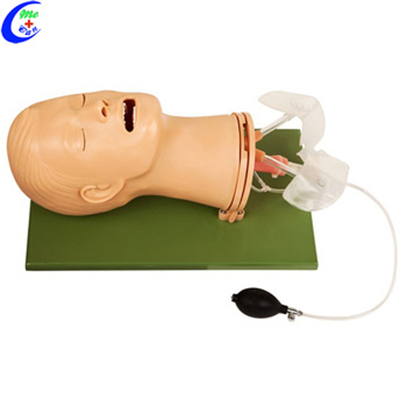 First Aid Mannequin Airway Management Model 2