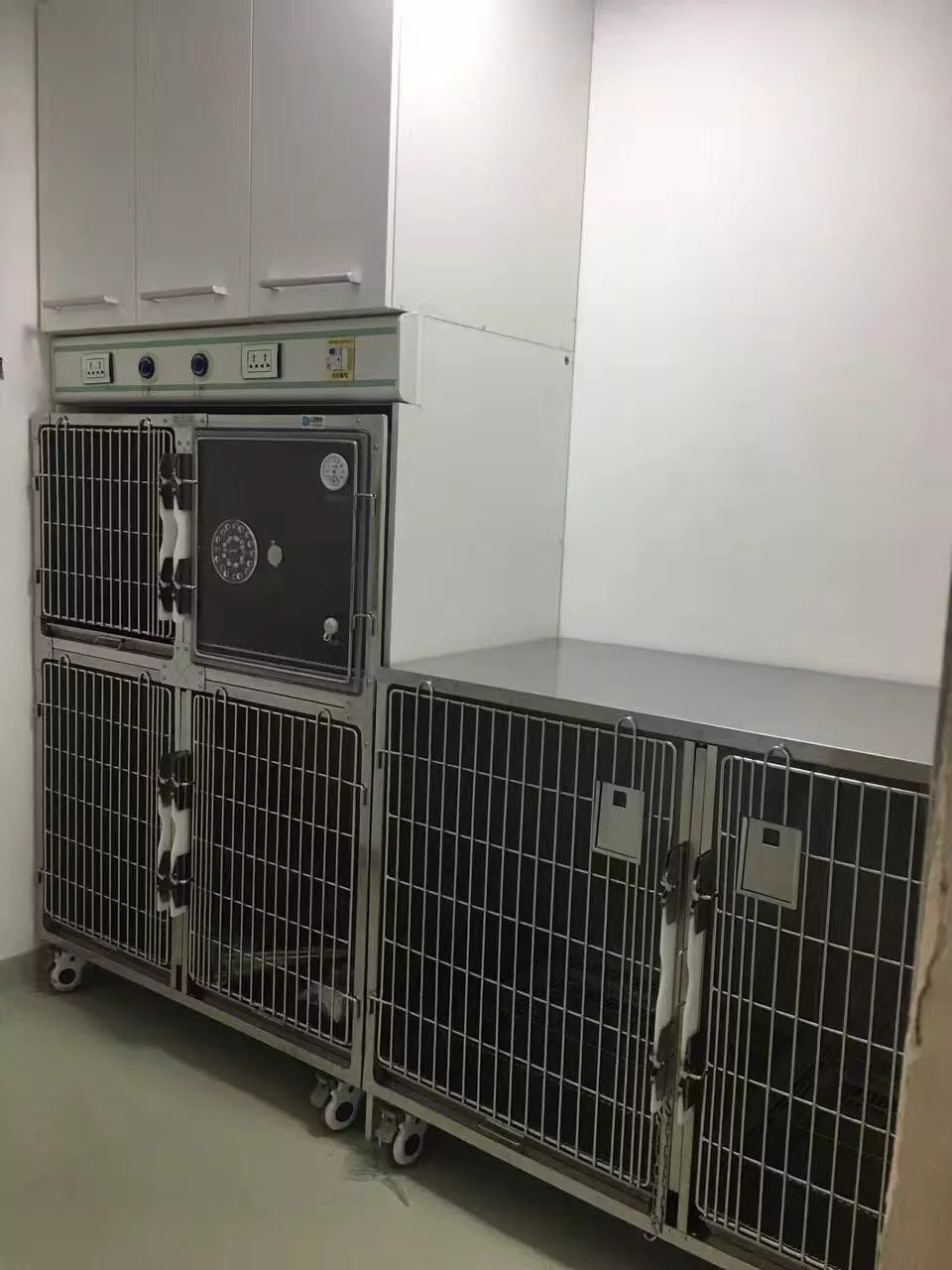 Veterinary Stainless Steel Dog Kennel Cages, Vet Equipment Animal Cages For Sale 7
