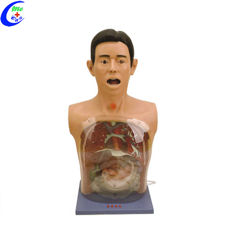 Nursing School Basic Simulation Mannequins For Nursing 6