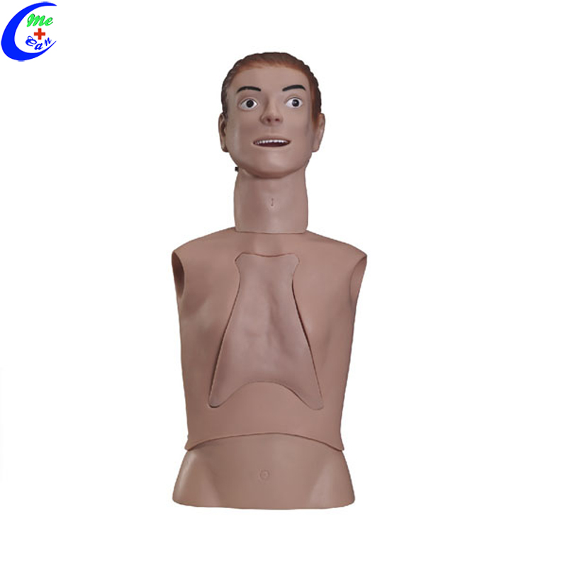 Nursing School Basic Simulation Mannequins For Nursing 8