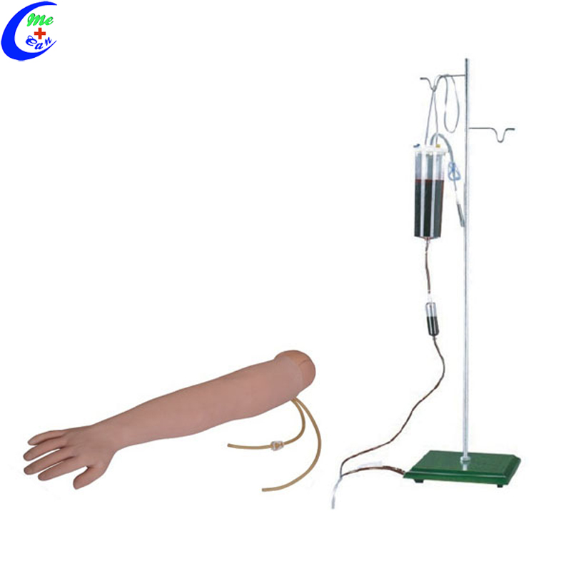 Arm Venipuncture Injection Training Model 8