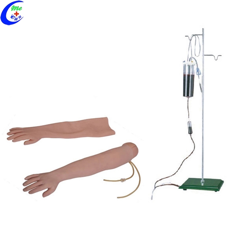 Arm Venipuncture Injection Training Model 9