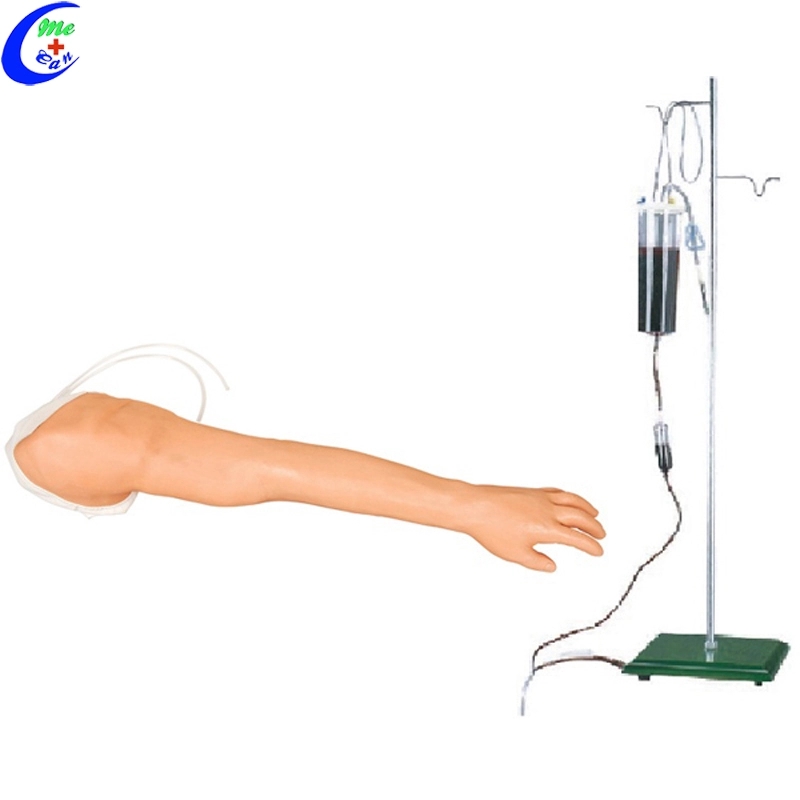 Arm Venipuncture Injection Training Model 12
